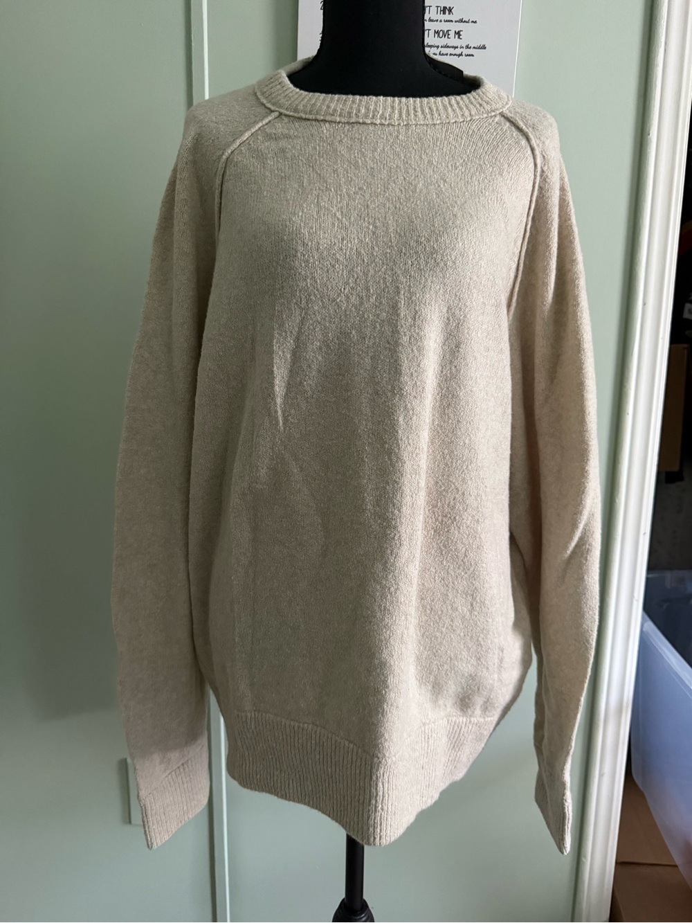 American Eagle Crewneck Women's Sweater in Light Beige Size L